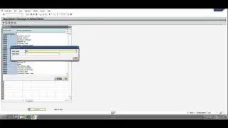 SAP FI - Prepare Automatic Clearing