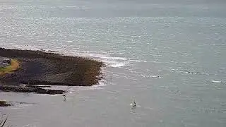 Winging into the boat ramp at Raglan - Manu Bay