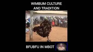 Powerful 💪 display of Wimbum Culture Bfubfu 👑 in Mbot#celebration #dance #africa #culture