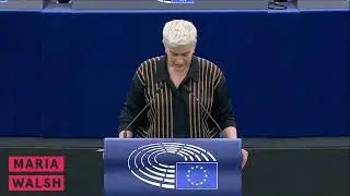 Transparency, integrity, accountability and anti-corruption in the European Parliament