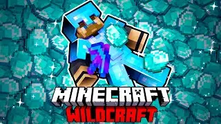 Pregatiri pentru Armura Perfecta pe Wildcraft [LIVE]