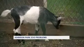 Activists lobby to have animals removed from Johnson Park Zoo following Ida flooding