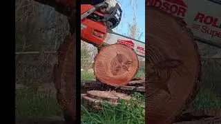 Husqvarna 372xp #chainsawman #husqvarna #woodworking