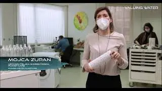 PLANET CARE WWD 2021