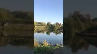 Эксперт гуру рыбалки:)