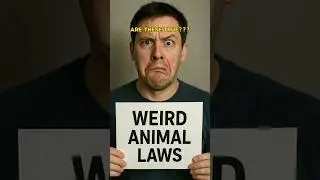 3 Weird Animal Laws in the U.S. (You Won&rsquo;t Believe #2) #shorts