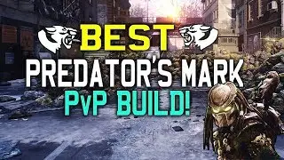 The Division 1.8 | Лучшая сборка PvP &laquo;Метка Хищника&raquo;!