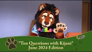 Ten Questions with Kijani (2024) - Fursuiting, Lion Fursona, Kenya, Mascots, Anthrocon!