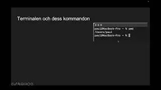 Informationsteknik - del 2 - Informationsteknikens m&ouml;jligheter och begr&auml;nsningar