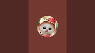 pow lol is live!