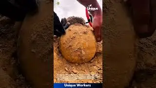 Treasure Found! Metal Detector Unearths Ancient Jar Filled with Gold Coins