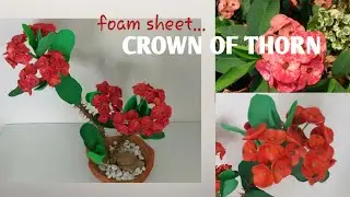 Foam Sheet Crown of Thorn Plant