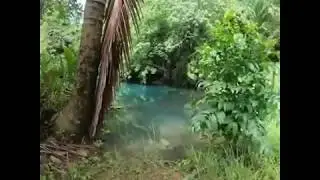 ANDI Full Cave Diving Course. Spitting Spider cave major restriction training.