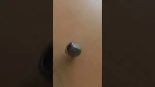 Hydraulic Cylinder Cushion Bushing | Smooth End-of-Stroke Control