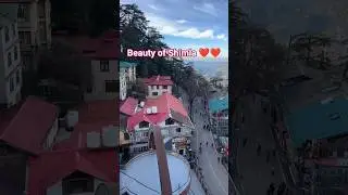 Shimla&rsquo;s Beauty ❄️✨ | Where Mountains Touch the Heart 🏔️ #winter
