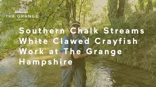 Southern Chalk Streams White Clawed Crayfish Work at The Grange Hampshire