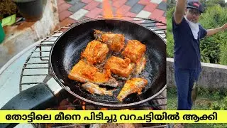 തോട്ടിലെ മീനെ പിടിച്ച് ഫ്രൈ ആക്കി | Fish Catch and cooking in Kerala | Malayalam VLOG