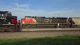 CN A431-71