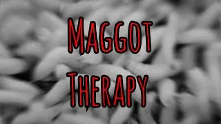 Prolonged Field Care Podcast: Maggot Therapy