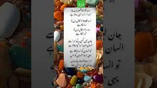 Pain #pain #dard #allah #islam #nabi #muhammad #islamic #shorts #shortsfeed #islamicvideo