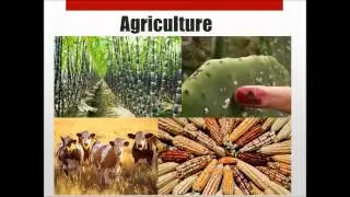 Spanish Colonial Systems of Exploitation