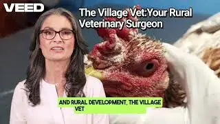 The Village Vet :Your Rural Veterinary Clinic in Kilinochchi District Northern Province Sri Lanka