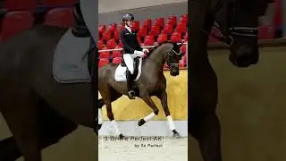 Oldenburg Spring Elite Auction 2025