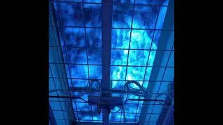 Een blauwe hemel!