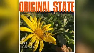 Original State - Forever Free
