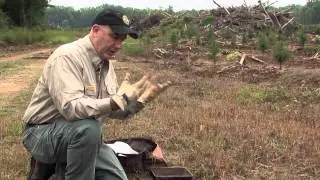 Trapping in South Carolina (long version)
