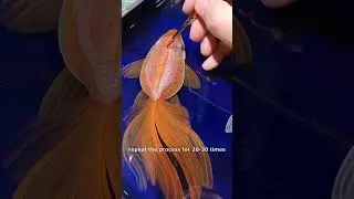 3D Oranda Goldfish Painting in Resin #goldfishcorner