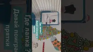 28 сентября 2024 г.