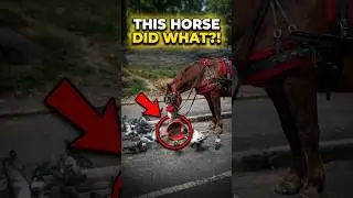 UNEXPECTED ANIMAL BESTIES: PROOF LOVE HAS NO SPECIES!