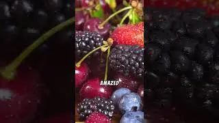 Strange Snacks: Bizarre Foods Animals Love.Unusual animal diets surprising foods animals eat#shorts