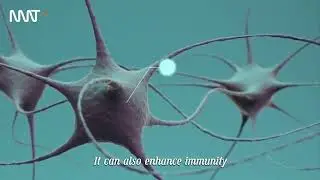 N-acetylneuraminic acid helps protect brain power and boost immunity
