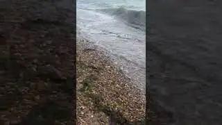 Southend Beach #vlogs #viral #short