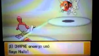 Pokemon Wifi battle Vs Serebii guy 