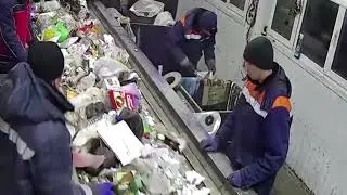 Cat rescued from conveyor at waste facility in Ulyanovsk, Russia