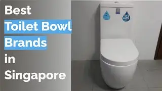 🌵 12 Best Toilet Bowl Brands in Singapore