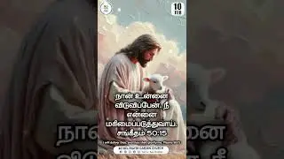 Today's Promise Word ( February 2025 ) #tamilbible #bible #youtubeshorts  #Feb10