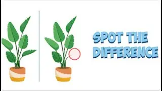 Spot the Difference Challenge | Can You Solve This | Download Now