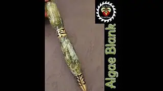 algae