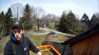 Bat Removal & Bat Exclusion in PA