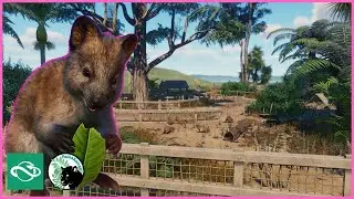 Quo vadis QUOKKA ? | Oceania Special | Planet Zoo | #2