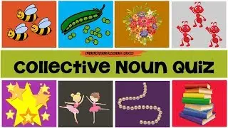 10 questions to Test your knowledge of Collective Nouns - Take on this challenge NOW!