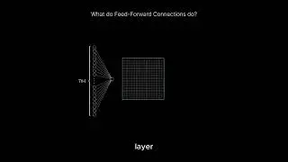 What does the feed forward connection do?