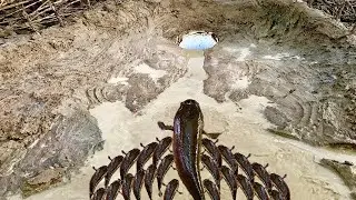 Build Deep Hole Underground Fish Trap Make From Plastic Bucket | Believe This Fishing?