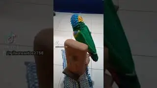 papagaio de cimento