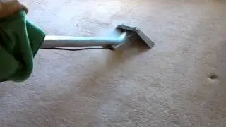 Carpet cleaning ann arbor michigan