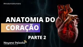 Anatomia do Coração [parte 2]
